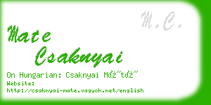 mate csaknyai business card